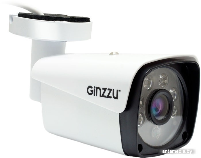 IP-камера Ginzzu HIB-5301A - фото 1 - id-p214742568
