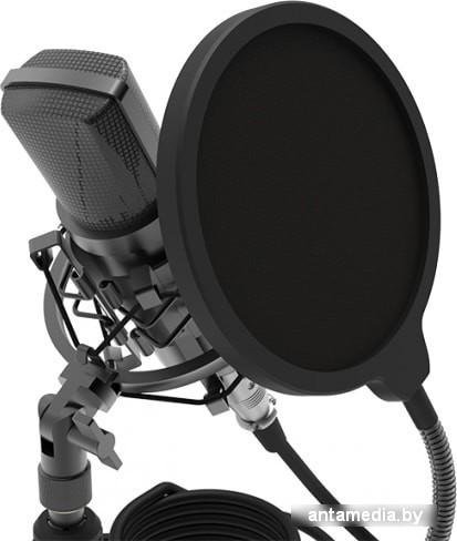 Микрофон Ritmix RDM-175 - фото 3 - id-p214742721