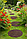Плитка садовая круглая Leaves, 46см, терракотовый, фото 3
