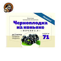 Набор Алхимия Вкуса № 71 для приготовления настойки Черноплодка на коньяке V2, 55 г