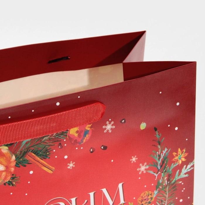 Подарочный горизонтальный пакет «Новогодний аромат» 27 × 23 × 11,5 см - фото 2 - id-p214776260