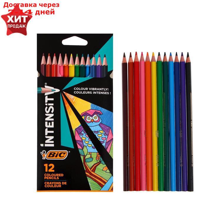 Цветные карандаши 12 цветов, для подростков и взрослых, трёхгранные, BIC Color Up - фото 1 - id-p214208521