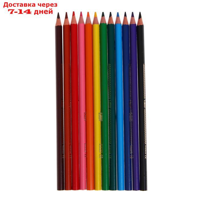 Цветные карандаши 12 цветов, для подростков и взрослых, трёхгранные, BIC Color Up - фото 3 - id-p214208521