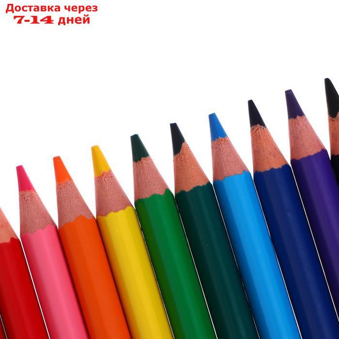 Цветные карандаши 12 цветов, для подростков и взрослых, трёхгранные, BIC Color Up - фото 4 - id-p214208521
