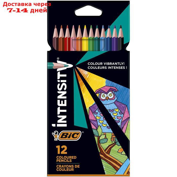Цветные карандаши 12 цветов, для подростков и взрослых, трёхгранные, BIC Color Up - фото 5 - id-p214208521