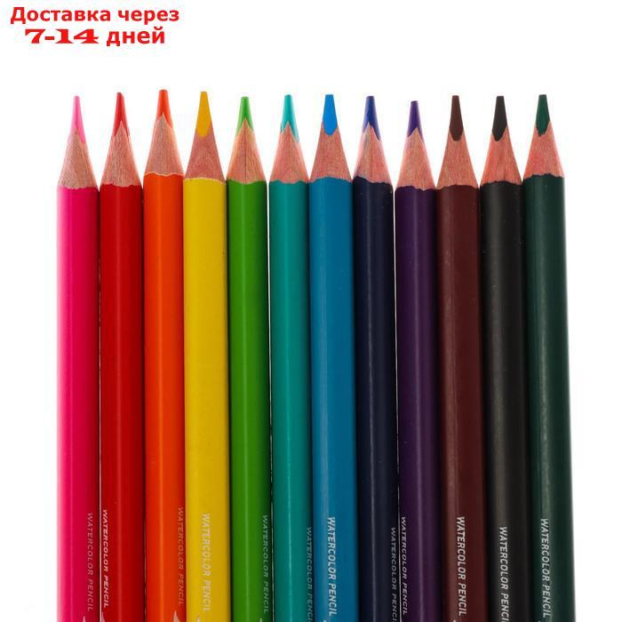 Карандаши акварельные 12 цветов HappyColor, МИКС - фото 5 - id-p214717395