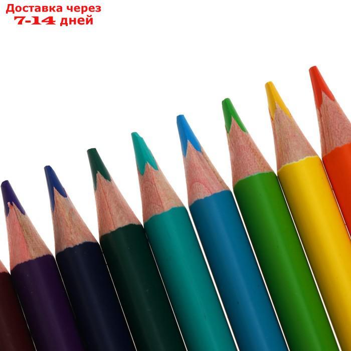 Карандаши акварельные 12 цветов HappyColor, МИКС - фото 9 - id-p214717395