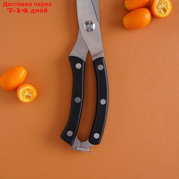 Ножницы кухонные Доляна "Профи", 30,5 см - фото 5 - id-p214208714