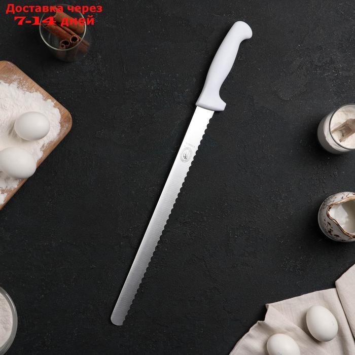 Нож для бисквита, рабочая поверхность 34 см, мелкие зубчики - фото 1 - id-p214719888