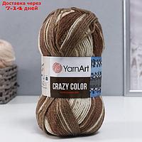 Пряжа "Crazy color" 25% шерсть, 75% акрил 260м/100гр (139 принт)