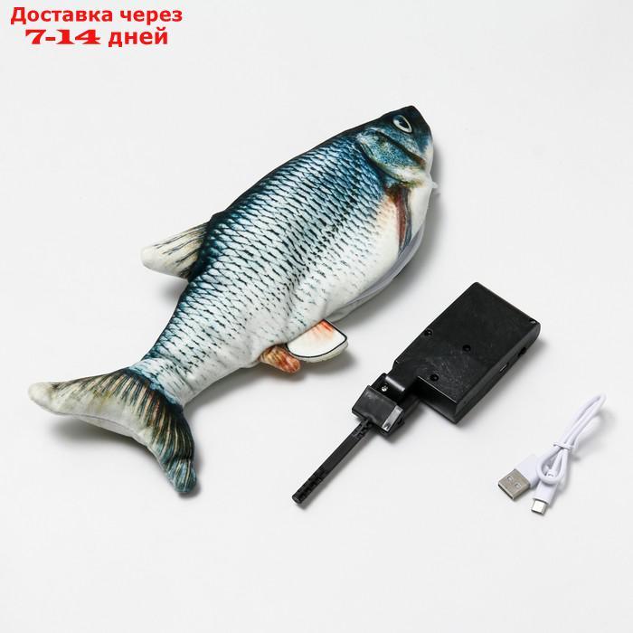 Игрушка для кошек "Подлещик"с двигающимся хвостом и с USB-зарядкой, 28 см - фото 2 - id-p214727790