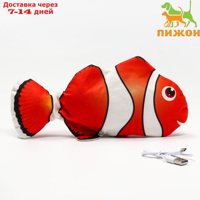 Игрушка для кошек "Рыба-клоун" с двигающимся хвостом и с USB-зарядкой, 28 см - фото 1 - id-p214727791