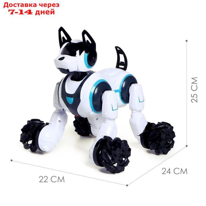 Робот-собака "Кибер пёс", световые и звуковые эффекты, работает от аккумулятора, цвет белый 683332 - фото 2 - id-p214723799
