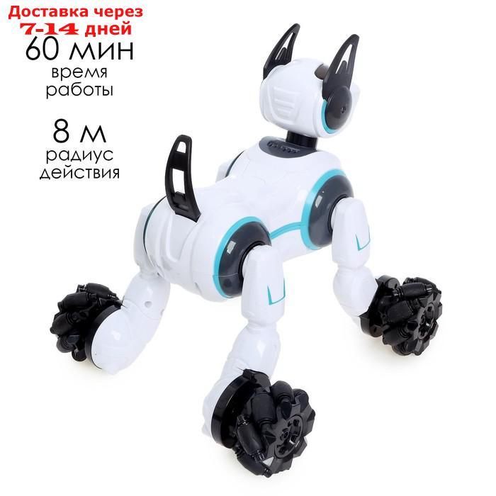 Робот-собака "Кибер пёс", световые и звуковые эффекты, работает от аккумулятора, цвет белый 683332 - фото 6 - id-p214723799
