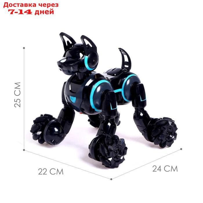 Робот-собака "Кибер пёс", световые и звуковые эффекты, работает от аккумулятора, цвет чёрный - фото 2 - id-p214724039