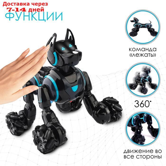 Робот-собака "Кибер пёс", световые и звуковые эффекты, работает от аккумулятора, цвет чёрный - фото 4 - id-p214724039