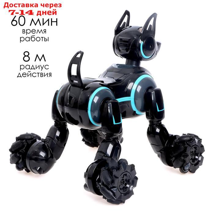 Робот-собака "Кибер пёс", световые и звуковые эффекты, работает от аккумулятора, цвет чёрный - фото 6 - id-p214724039