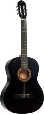 Акустическая гитара Terris TC-395A BK - фото 1 - id-p214787347