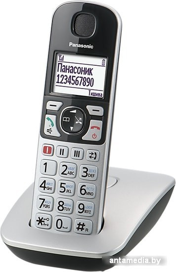 Радиотелефон Panasonic KX-TGE510RUS - фото 1 - id-p214807358