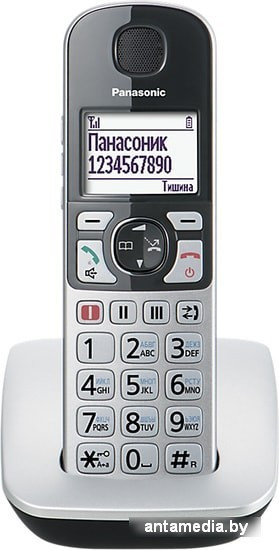 Радиотелефон Panasonic KX-TGE510RUS - фото 2 - id-p214807358