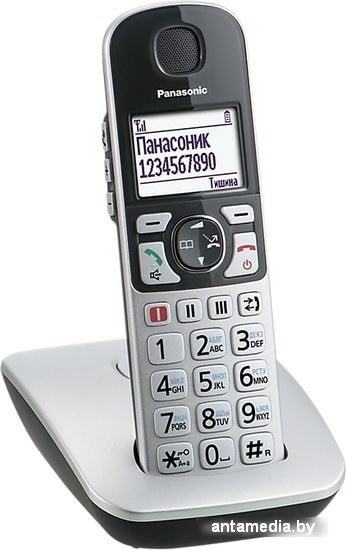 Радиотелефон Panasonic KX-TGE510RUS - фото 3 - id-p214807358