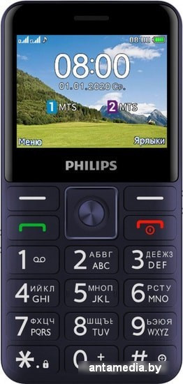 Мобильный телефон Philips Xenium E207 (синий) - фото 2 - id-p214807364