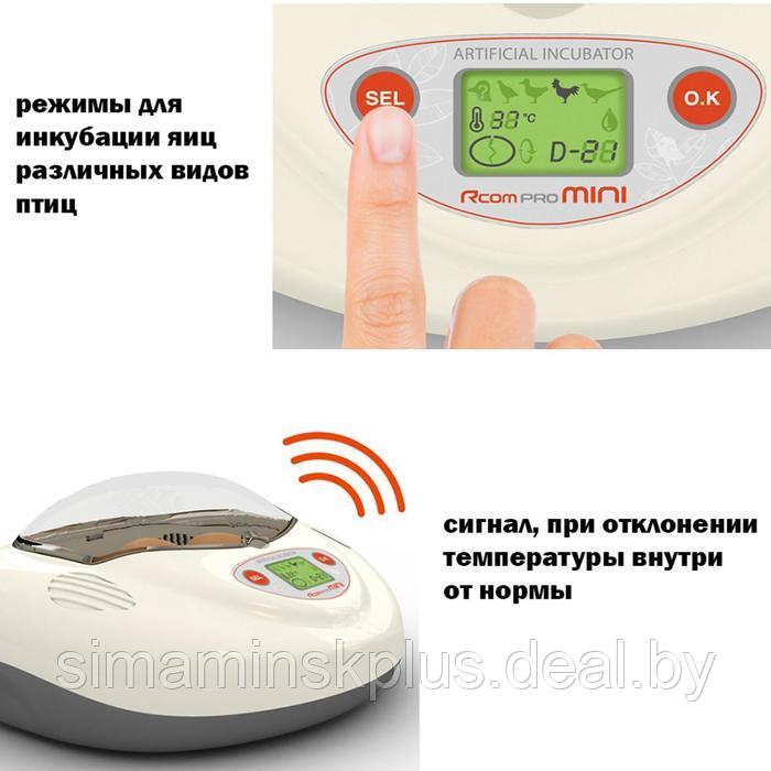 Инкубатор Rcom Mini, с овоскопом - фото 3 - id-p214816720