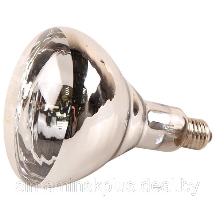 Лампа инфракрасная, 175 Bт, E27, R125, закалённое стекло, прозрачная, JK Lighting