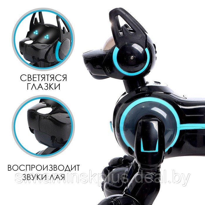 Робот-собака «Киберпёс», световые и звуковые эффекты, работает от аккумулятора, цвет чёрный - фото 5 - id-p214822737