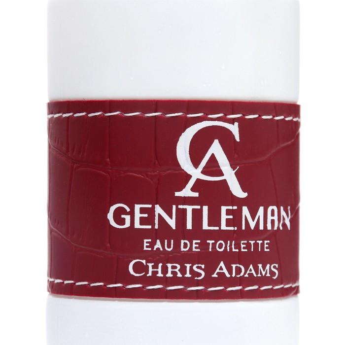Туалетная вода мужская Chris Adams Ca Gentleman, 100 мл - фото 3 - id-p214823088
