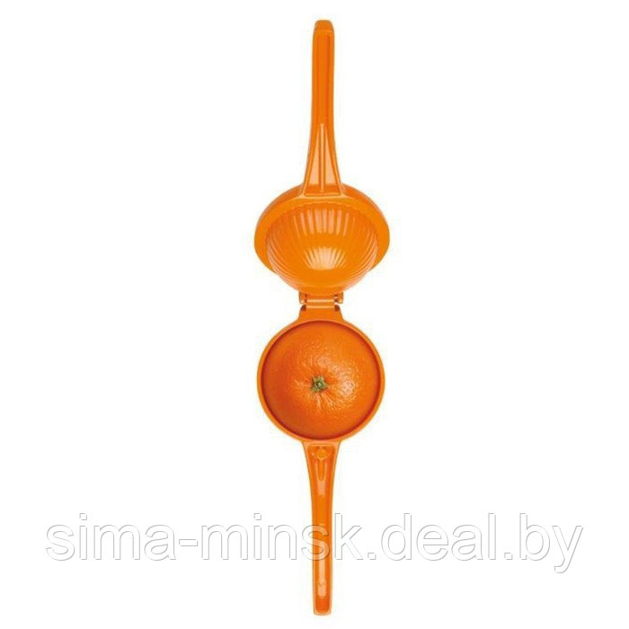 Соковыжималка для апельсинов Tescoma Grandchef - фото 4 - id-p214820714