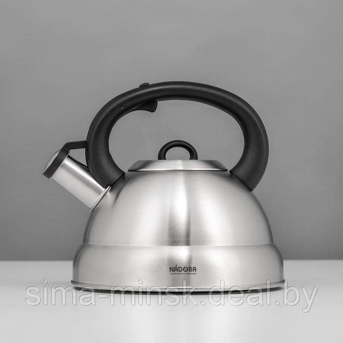 Чайник со свистком Nadoba Berna, 3 л - фото 1 - id-p214821992