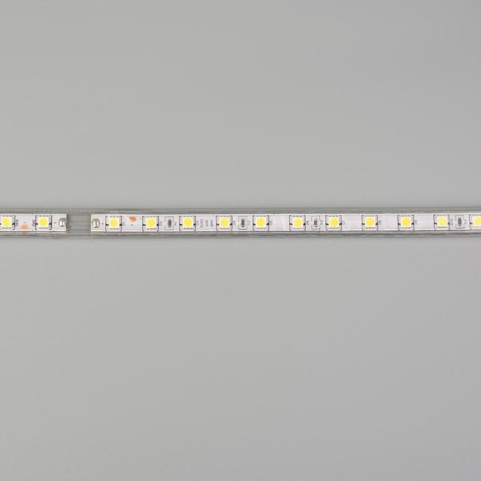 Светодиодная лента Ecola STD 14 × 7 мм, 50 м, IP68, SMD5050, 60 LED/м, 14.4 Вт/м, 220 В, 6000К - фото 5 - id-p214826954