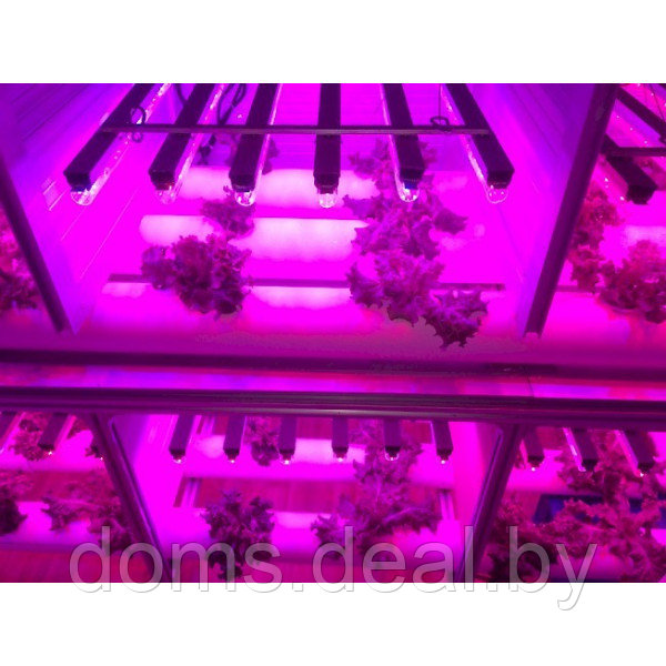 Светильник светодиодный для растений PPG T5i-900 AGRO WHITE 12W Jazzway AGRO - фото 3 - id-p214918069