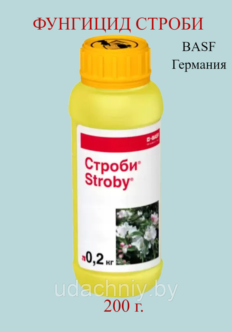 Строби. 200 г.