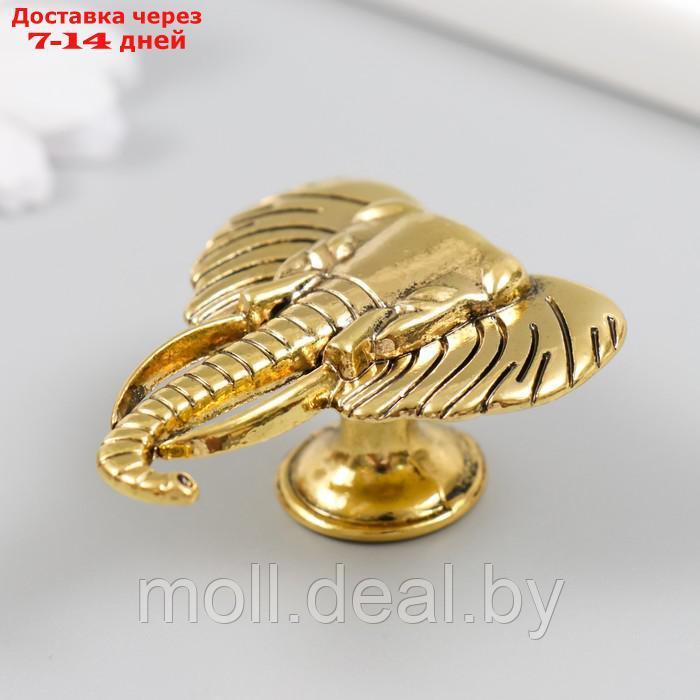 Ручка для шкатулки металл "Голова слона" состаренное золото 4,5х4,2 см - фото 2 - id-p214902273