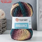 Пряжа "Ambiance" 80% акрил, 20% шерсть 250м/100г (163)