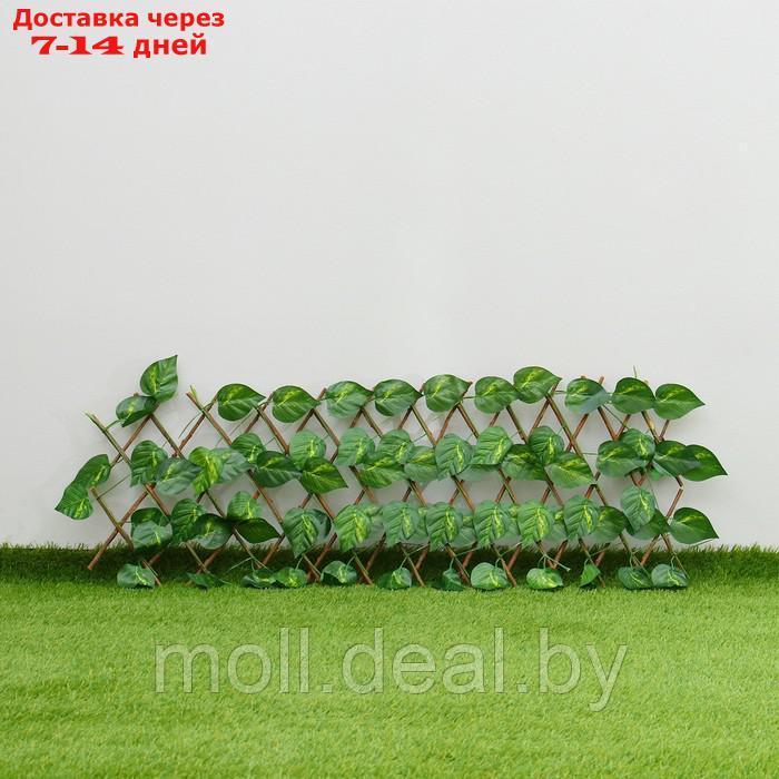 Ограждение декоративное, 110 × 40 см, "Лист берёзы", Greengo - фото 1 - id-p214901133