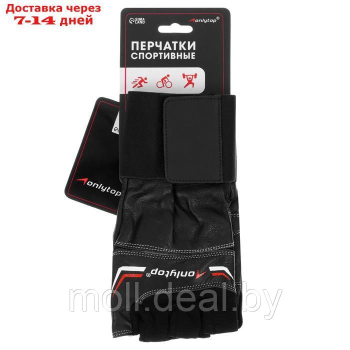 Спортивные перчатки Onlytop модель 9004 размер XL - фото 3 - id-p214899187