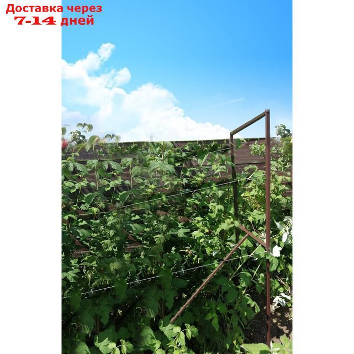 Опора для малины, 150 × 48 × 1,5 см, зелёная - фото 3 - id-p214893024