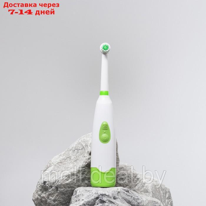Электрическая зубная щётка LP-001, 3 насадки, от 2xАА (не в комплекте), МИКС - фото 4 - id-p214899463