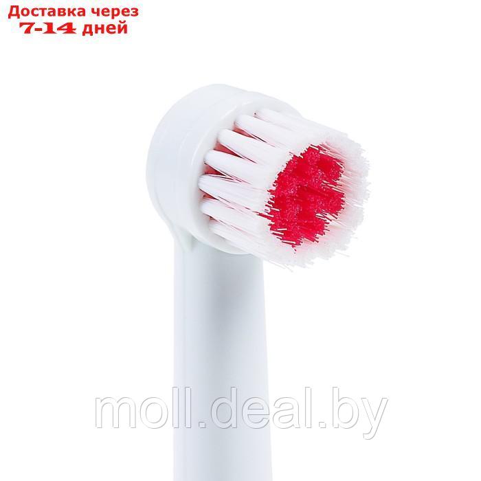 Электрическая зубная щётка LP-001, 3 насадки, от 2xАА (не в комплекте), МИКС - фото 7 - id-p214899463