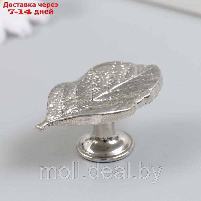Ручка для шкатулки металл "Лист" серебро 5,2х2,8 см - фото 2 - id-p214901977