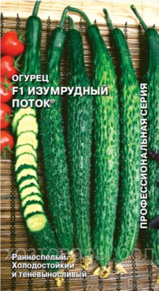 Огурец Изумрудный поток F1 0,2г Парт Ранн (Седек) - фото 1 - id-p214956020