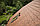 Металлочерепица Гранд Лайн Kredo 0,5мм, полиэстер, Zn 275 г/кв.м. Colority, фото 4