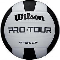 Волейбольный мяч Wilson Pro Tour Vb WTH20119X (5 размер, белый/черный)