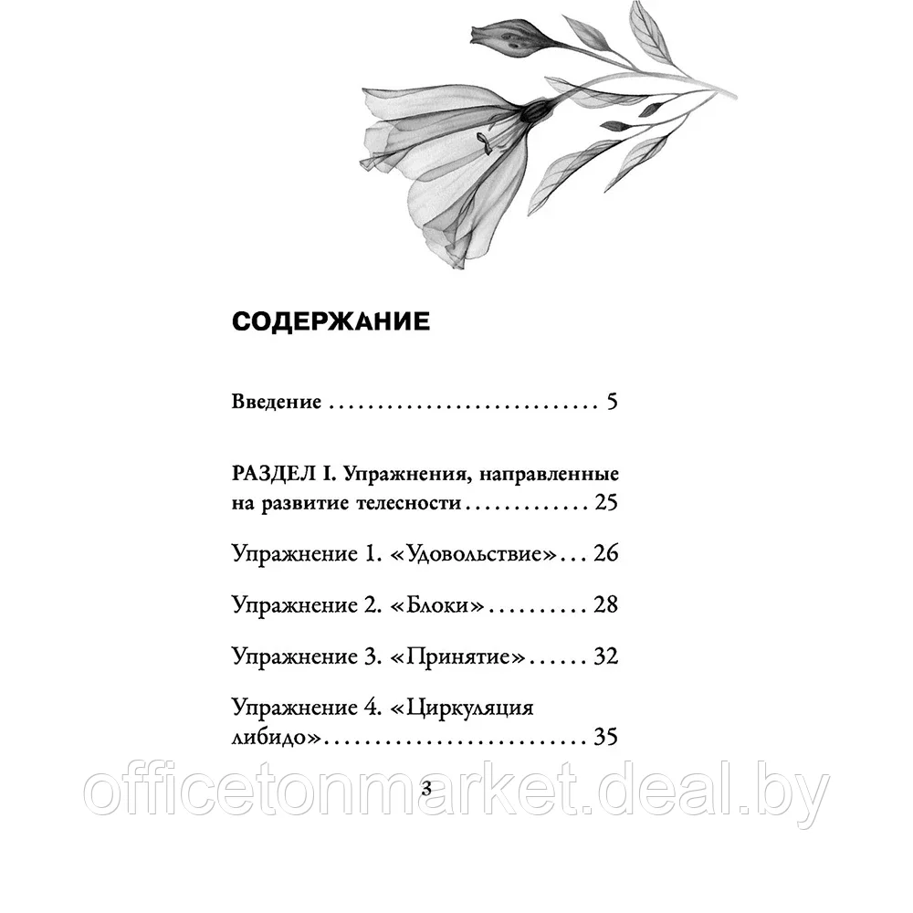 Источник желания. Метафорические карты для пробуждения энергии творчества и сексуальности, Анна Гращенкова - фото 7 - id-p199169227