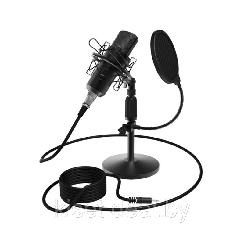 Микрофон Ritmix RDM-175 3,5mm с подставкой - фото 1 - id-p214998884