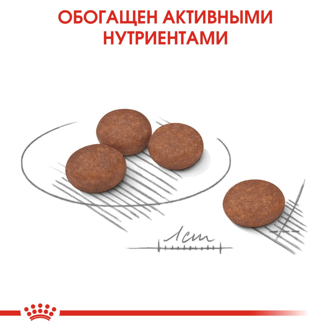 Royal Canin Digestive Mini, 3 кг - фото 3 - id-p215003061