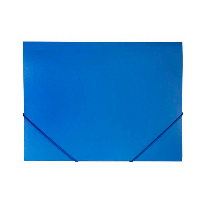 Папка пластиковая Hatber Standard на резинке А4, синяя - фото 1 - id-p215003513